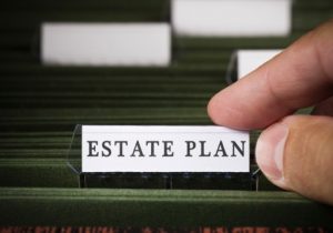 How Often Should I Review My Estate Plan?