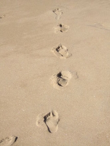 The executor job can be surprisingly complex for many people, and can be especially troubling for those who need to settle larger and more complex estates. You can make that job easier by following a simple ten-step process for managing probate.